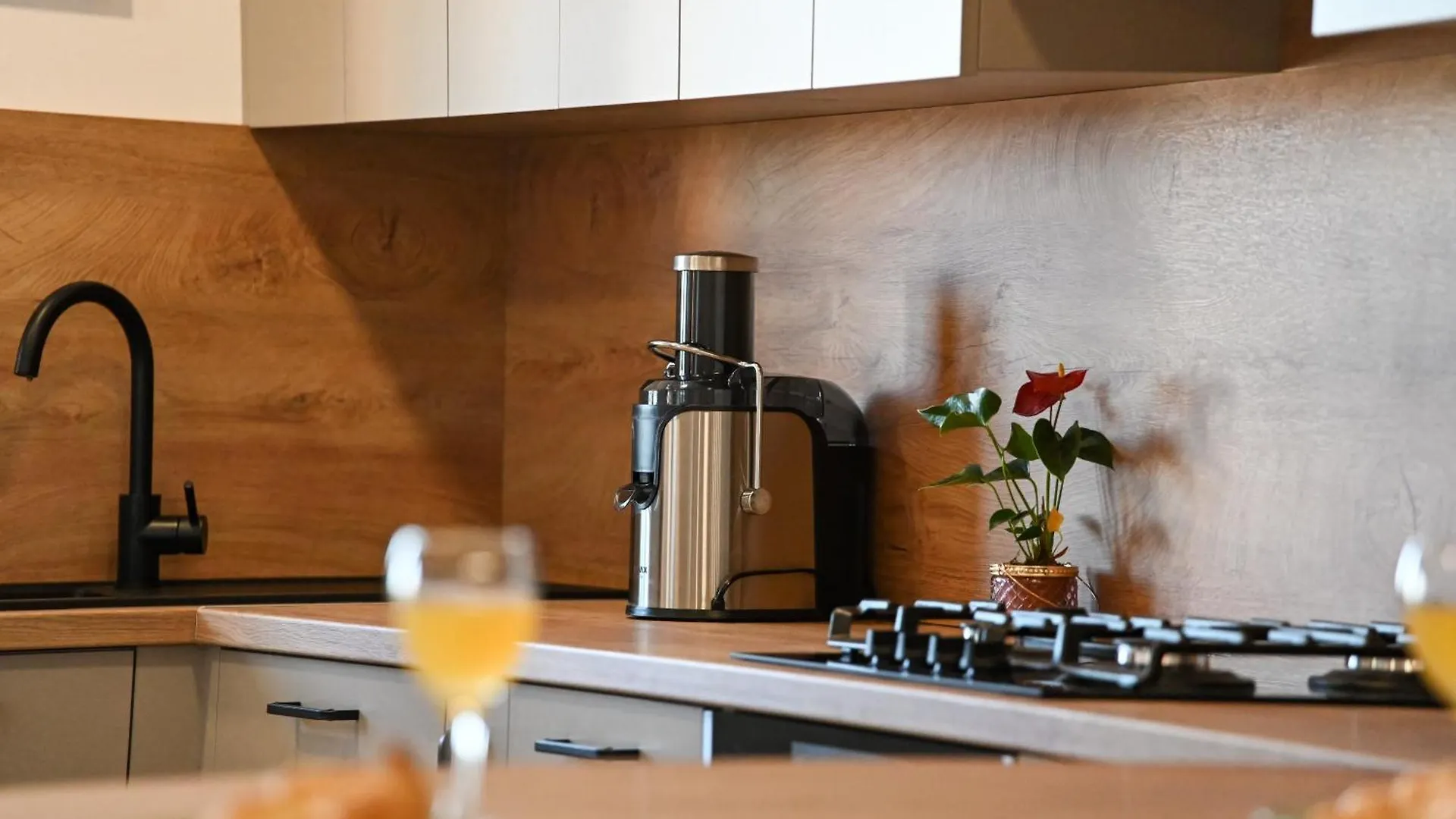 Lägenhet Veliki Apartman Petra Posedarje Kroatien