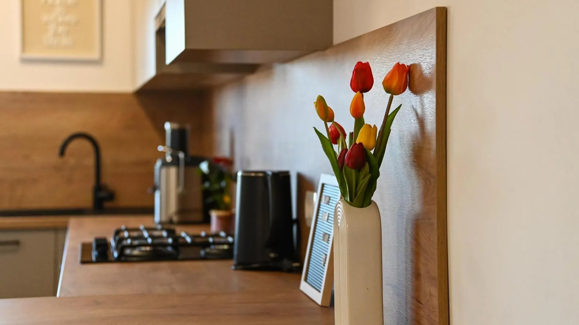 Veliki Apartman Petra Posedarje Croatia